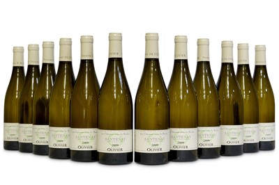 Lot 342 - Santenay Blanc 'Clos du Roche', Olivier Pere et Fils 2009