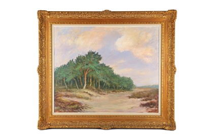 Lot 189A - EUROPEAN SCHOOL (MID 20TH CENTURY) Wooded...