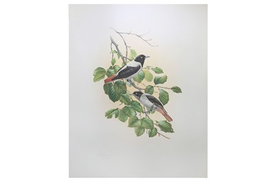 Lot 188 - Lansdowne (James Fenwick) Three collotypes...