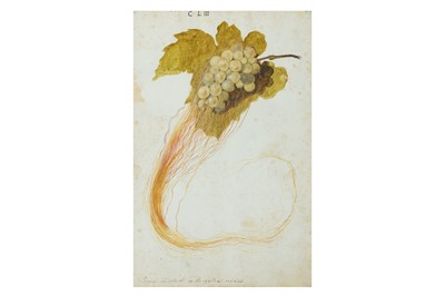 Lot 275 - ITALIAN SCHOOL (LATE 18TH CENTURY) Grapes...