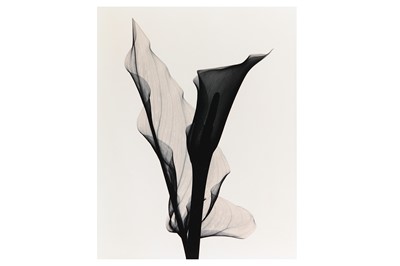 Lot 212 - Judith McMillan b.1945 OPTIC EXPLORATION:...