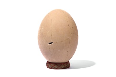 Lot 18 - AN ELEPHANT BIRD EGG, MADAGASCAR, PRE 17TH...