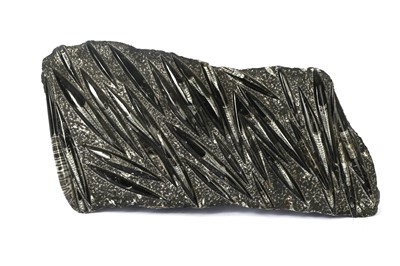 Lot 66 - Belemnite Fossil. 30...