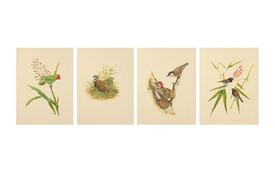 Lot 326 - FOUR STUDIES OF BIRDS IN THEIR NATURAL HABITAT