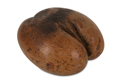 Lot 38 - A POLISHED COCO DE MER NUT (LODOICEA...