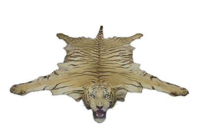 Lot 82 - TAXIDERMY: INDIAN TIGER (PANTHERA TIGRIS...