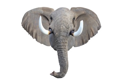 Lot 80 - TAXIDERMY INTEREST: A FINE AND MAGNIFICENT...