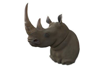 Lot 81 - TAXIDERMY INTEREST: AN IMPRESSIVE LIFESIZE...