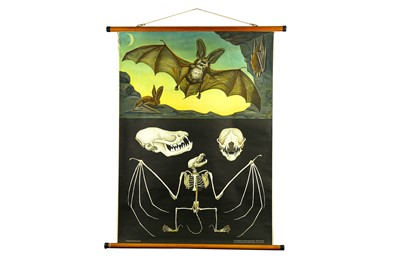 Lot 274 - A GERMAN EDUCATIONAL WALL CHART...
