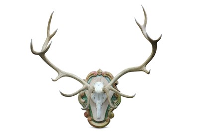 Lot 69 - A SET OF RED DEER ANTLERS, with 14 points,...