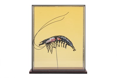 Lot 94 - HARRIET HORTON (BRITISH) 'TAXIDERMY PRAWN' ...