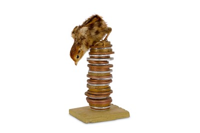 Lot 762 - Polly Morgan (b. 1980) 'Sandcastles' 2013...