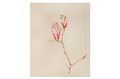 Lot 710 - Amy Ross (American, b.1972) 'The Fox and the...