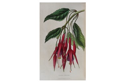 Lot 8 - Botany.- The Florist’s Journal for the year...