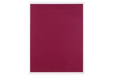 Lot 802 - Sam Falls (American b.1984) 'Untitled (Purple...
