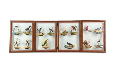 Lot 320 - FOURTEEN STUDIES OF INDIAN BIRDS ON MICA ROUNDELS