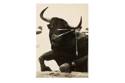 Lot 14 - Lucien Clergue b.1934