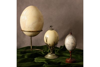 Lot 36 - AN ELEPHANT BIRD EGG, MADAGASCAR, PRE 17TH CENTURY
