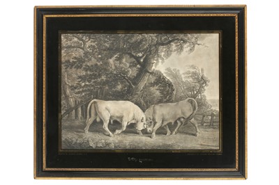 Lot 269 - Stubbs (George Townley)