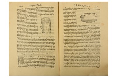 Lot 15 - Cabei (Nicolò)