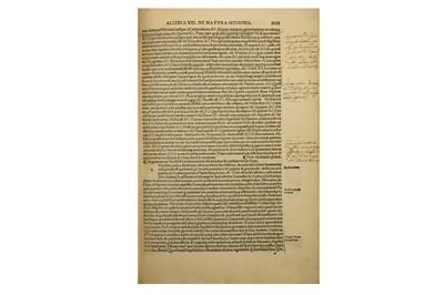 Lot 53 - Plato