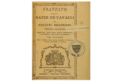 Lot 33 - Horses.- Brugnone (Carlo Giovanni)