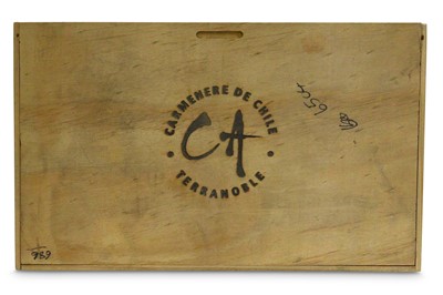 Lot 832 - Terra Noble CA1 Carmenere Andes, Colchagua Valley 2010