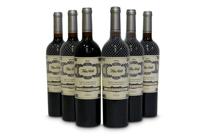 Lot 833 - Terra Noble Gran Reserva Carmenere, Colchagua Valley 2012