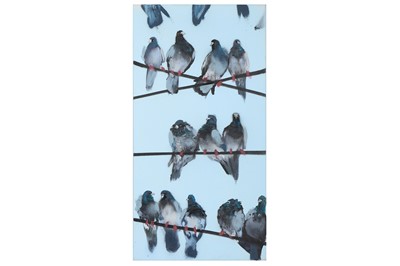 Lot 280 - Xenz (British, b.1974), 'New York Pigeons'