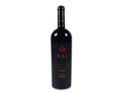 Lot 791 - Errazuriz Kai 2008