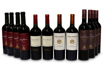 Lot 839 - Mixed Malbecs of Argentina