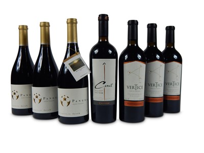 Lot 836 - Various Vintages of Ventisquero Vino