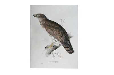 Lot 288 - Lear (Edward)
