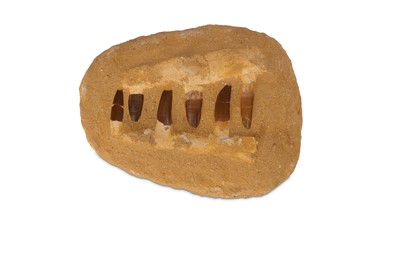 Lot 90 - A MASASAUR JAW