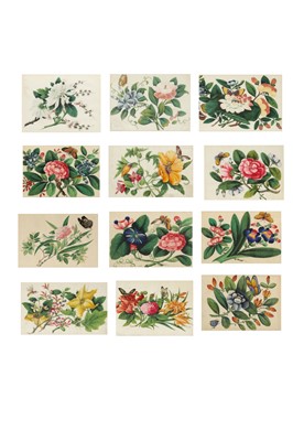 Lot 131 - A SET OF TWELVE CHINESE PITH PAPER PAINTINGS OF INSECTS AND FLOWERS.