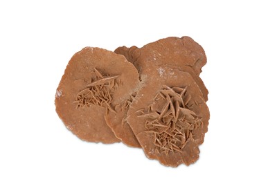 Lot 93A - A DESERT ROSE
