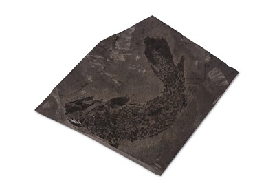 Lot 27 - A RARE SCOTTISH FOSSIL FISH (GYRAPTYCHIUS AGASSIZI),  MIDDLE DEVONIAN