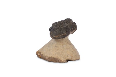 Lot 83 - AN AUSTEROPS KERMITI ON A SANDSTONE MATRIX