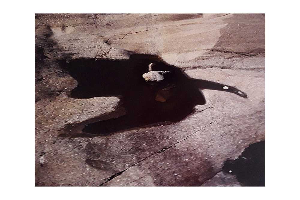 Lot 54 - Sam Haskins (1926 - 2009)