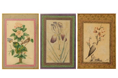 Lot 50 - * THREE TINTED DRAWINGS DEPICTING FLOWERS AND BIRDS