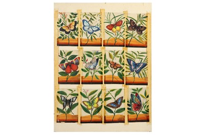 Lot 220 - TWELVE STUDIES OF BUTTERFLIES ON MICA