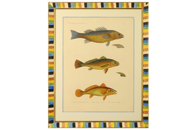 Lot 323 - Saint-Hilaire (Étienne Geoffroy, after) ‘Description de l'Égypte’
