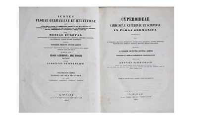 Lot 91 - Natural History.- Reicheinbach (Ludovic)
