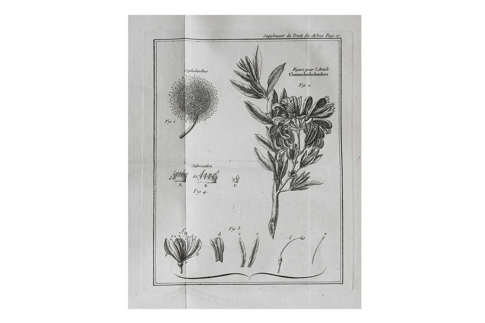 Lot 12 - Botany.- Duhamel du Monceau (Henri Louis)