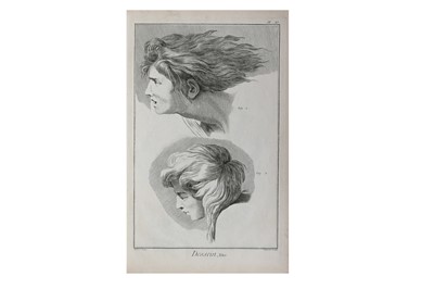 Lot 50 - Physiognomy.