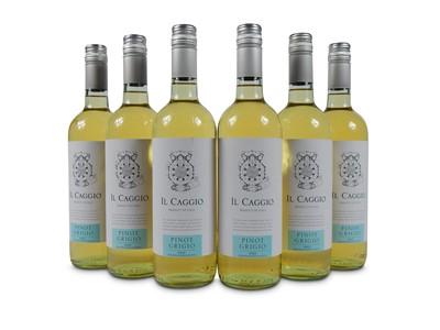 Lot 284 - Il Caggio Venezia Pinot Grigio 2014