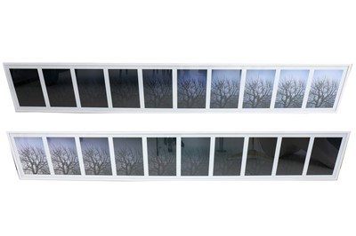 Lot 290 - 'TREE - Dawn' and 'TREE - Dusk.' a pair of photographic time lapse artworks