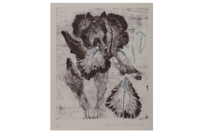 Lot 129 - ELIZABETH BLACKADDER, R.A. (B.1931)