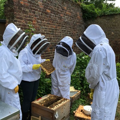 Lot 8 - A foray for five into the delights and demands of cultivating bees
