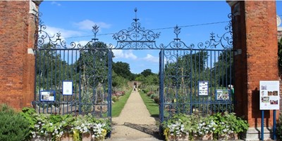 Lot 9 - Gardening consultancy for five